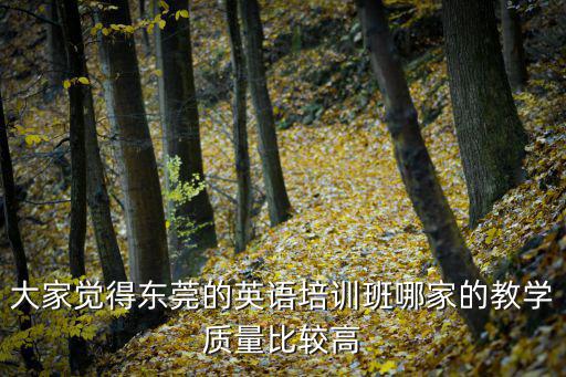 東莞慕課哪所學校做得好，東莞什么地方的培訓班的英文教學做的比較好