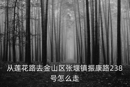 從蓮花路去金山區(qū)張堰鎮(zhèn)振康路238號怎么走