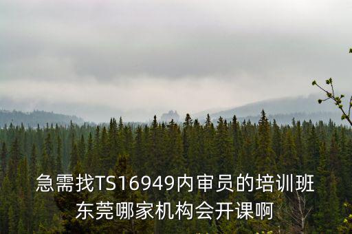 急需找TS16949內審員的培訓班東莞哪家機構會開課啊