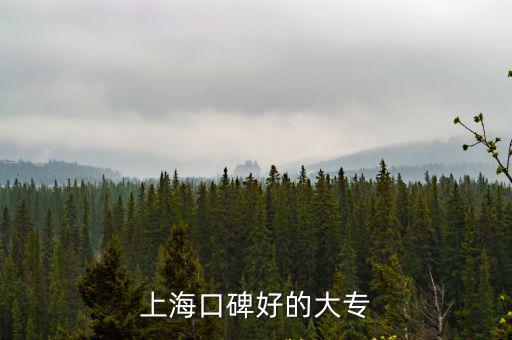 上海口碑好的大專