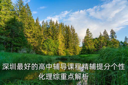 深圳最好的高中輔導課程精輔提分個性化理綜重點解析