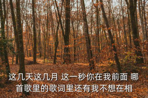 這幾天這幾月 這一秒你在我前面 哪首歌里的歌詞里還有我不想在相