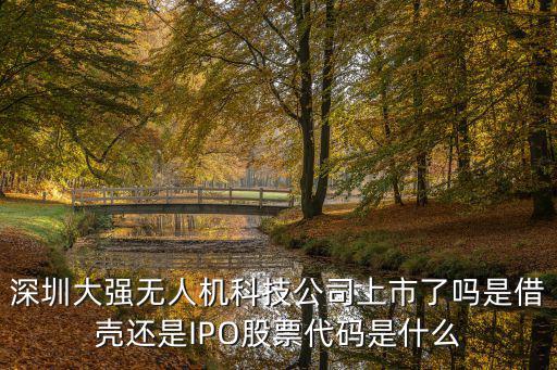 深圳大強(qiáng)無(wú)人機(jī)科技公司上市了嗎是借殼還是IPO股票代碼是什么