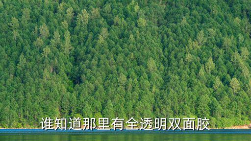 誰(shuí)知道那里有全透明雙面膠