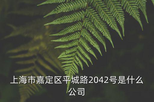 上海市嘉定區(qū)平城路2042號是什么公司