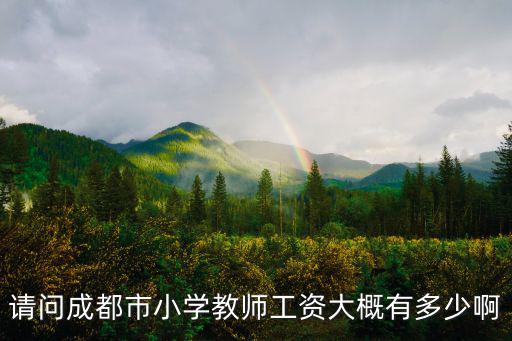 成都市金沙小學(xué)老師工資，金沙縣教師工資待遇