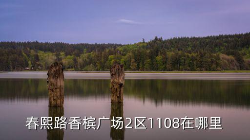 春熙路香檳廣場2區(qū)1108在哪里