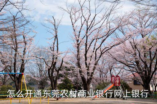 東莞農(nóng)商銀行辦理成功，東莞農(nóng)村商業(yè)銀行如何辦理網(wǎng)上銀行