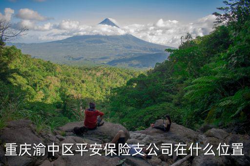 重慶市渝中區天官府3號一片，重慶渝中區平安保險支公司在什么位置