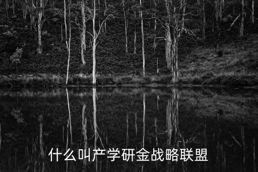 什么叫產學研金戰略聯盟