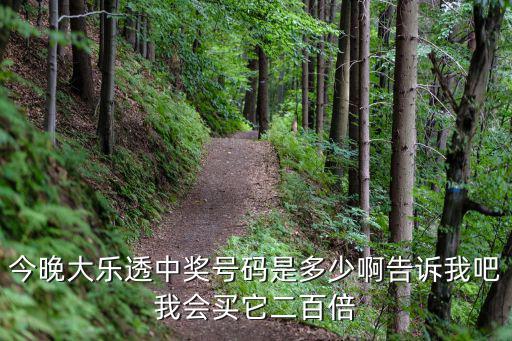 今晚大樂透中獎號碼是多少啊告訴我吧我會買它二百倍