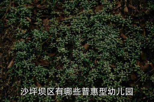 沙坪壩區有哪些普惠型幼兒園