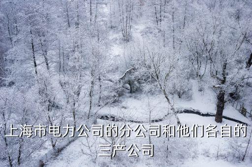 上海市電力公司的分公司和他們各自的三產公司