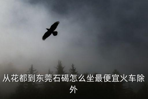 花都東莞村2020年改造進展，花都到東莞石碣怎么坐車