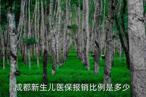成都新生兒醫保報銷比例是多少