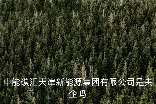 中能碳匯天津新能源集團有限公司是央企嗎