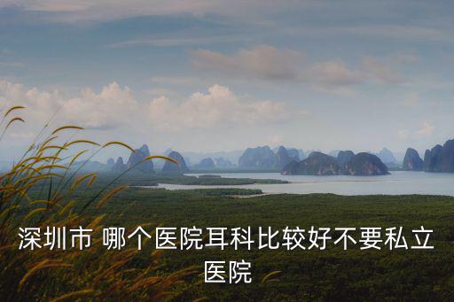 深圳市 哪個(gè)醫(yī)院耳科比較好不要私立醫(yī)院