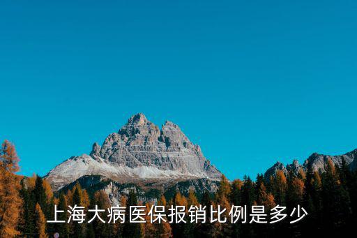 上海大病醫(yī)保報(bào)銷比例是多少