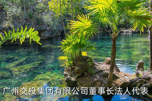 廣州交投集團有限公司董事長法人代表
