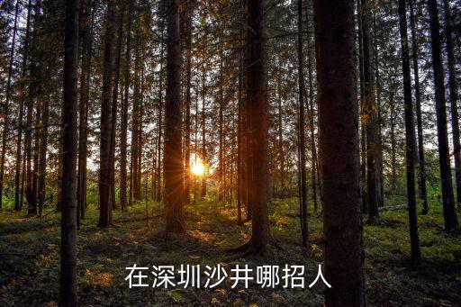在深圳沙井哪招人