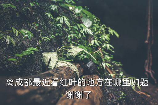 離成都最近看紅葉的地方在哪里如題 謝謝了