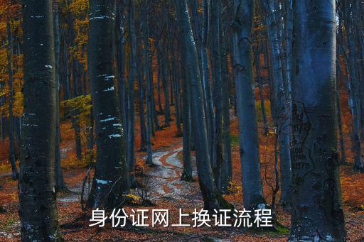 身份證網上換證流程