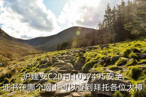 滬建安C20111057495安全證書在哪個(gè)網(wǎng)上可以查到拜托各位大神