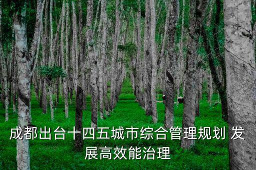 成都出臺十四五城市綜合管理規劃 發展高效能治理