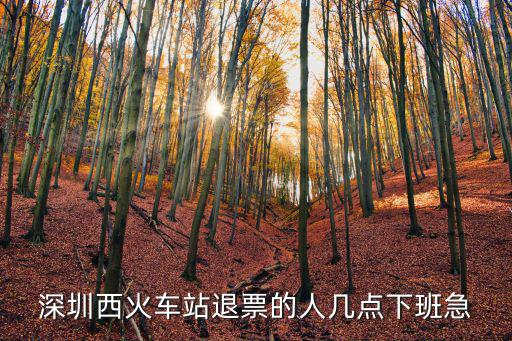深圳西火車站退票的人幾點下班急