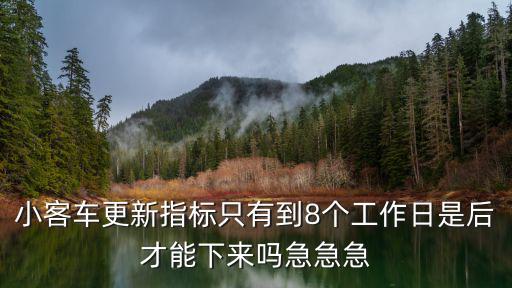小客車更新指標(biāo)只有到8個(gè)工作日是后才能下來嗎急急急