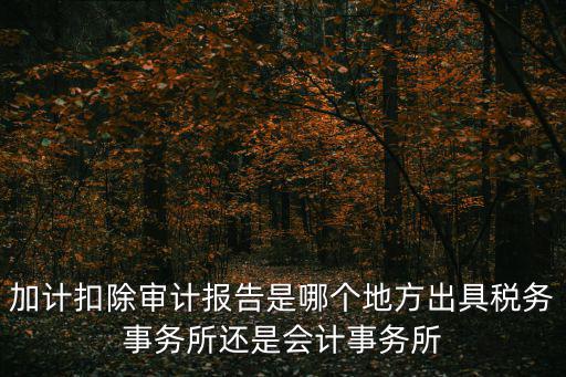 加計扣除審計報告是哪個地方出具稅務事務所還是會計事務所