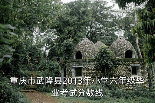 重慶市武隆縣2013年小學(xué)六年級(jí)畢業(yè)考試分?jǐn)?shù)線