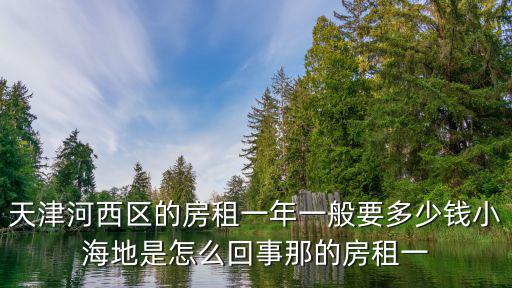 天津河西區的房租一年一般要多少錢小海地是怎么回事那的房租一
