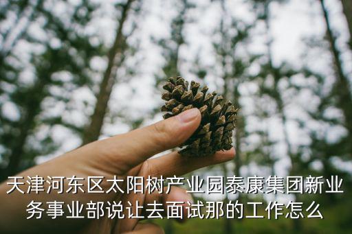 天津河?xùn)|區(qū)太陽樹產(chǎn)業(yè)園泰康集團新業(yè)務(wù)事業(yè)部說讓去面試那的工作怎么