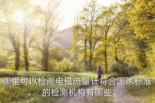 哪里可以檢測電磁流量計符合國家標準的檢測機構有哪些