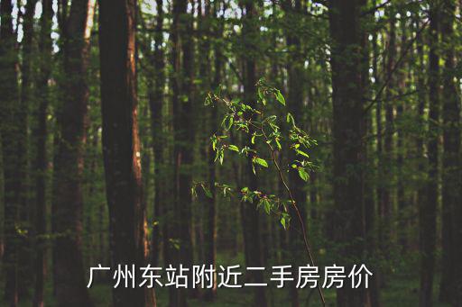 廣州東站附近二手房房價