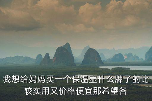 我想給媽媽買一個保溫壺什么牌子的比較實用又價格便宜那希望各