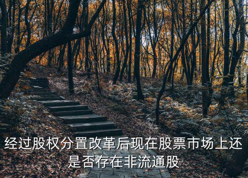 經(jīng)過股權(quán)分置改革后現(xiàn)在股票市場上還是否存在非流通股