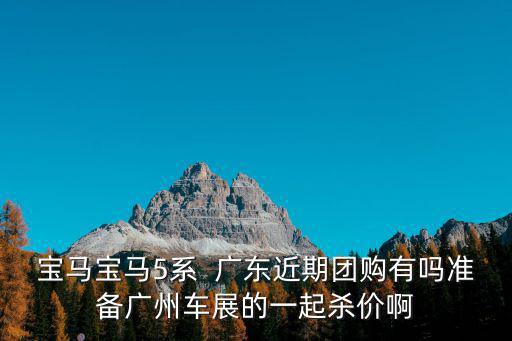 寶馬寶馬5系  廣東近期團(tuán)購有嗎準(zhǔn)備廣州車展的一起殺價(jià)啊
