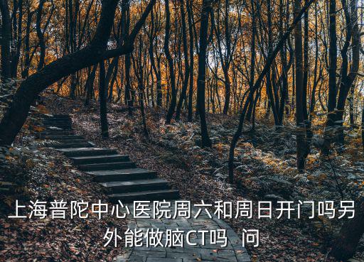 上海普陀中心醫(yī)院周六和周日開門嗎另外能做腦CT嗎  問