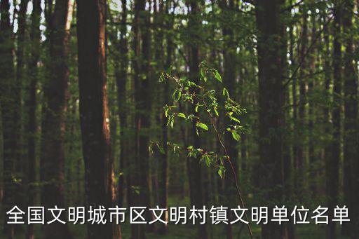 全國文明城市區文明村鎮文明單位名單