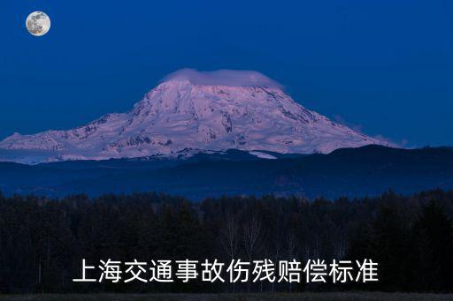 上海交通事故傷殘賠償標準