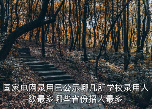 國家電網錄用已公示哪幾所學校錄用人數最多哪些省份招人最多