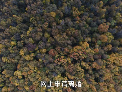 深圳離婚網(wǎng)，中國(guó)離婚網(wǎng)