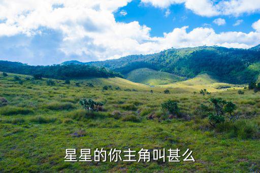 星星的你主角叫甚么
