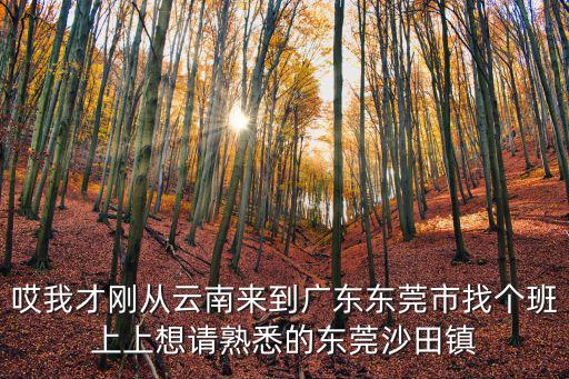 哎我才剛從云南來到廣東東莞市找個班上上想請熟悉的東莞沙田鎮