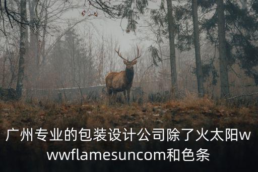 廣州專業的包裝設計公司除了火太陽wwwflamesuncom和色條