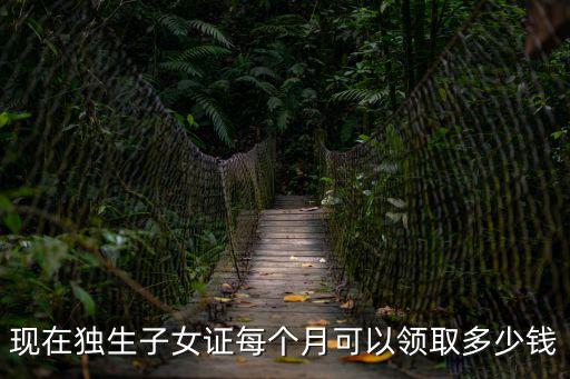 現(xiàn)在獨(dú)生子女證每個(gè)月可以領(lǐng)取多少錢