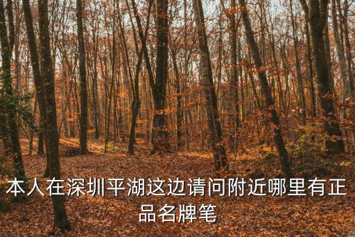 本人在深圳平湖這邊請問附近哪里有正品名牌筆