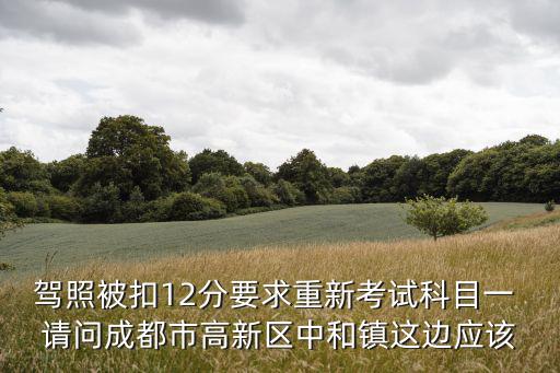 駕照被扣12分要求重新考試科目一 請問成都市高新區中和鎮這邊應該